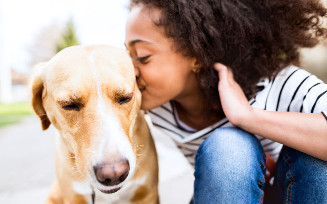 Food You Need To Keep Away From Your Pets